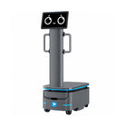 Alpha Panda AMR F150 Industrie-Lieferroboter