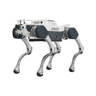 كلب روبوتات Deep Robotics X30 Pro رباعي الأرجل الصناعي
