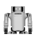 Robot humanoide universal Noetix Dora
