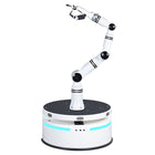 Robot compuesto Realman Robotics RMC-BA