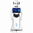 Robot di accoglienza umanoide Alpha Alice
