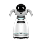 UBTECH Cruzr 1S