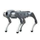 Galileo C1 Quadruped Robot Dog